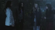 PLL202-0010