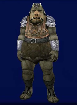 Rautog