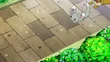 EP742 Minccino y Patrat corriendo