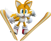 Tails Artwork - Winter Olympic Games