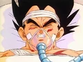 VegetaInjured.Ep.124