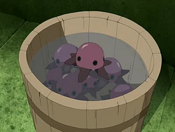 Purple pentapus