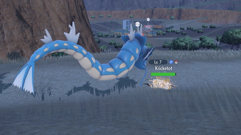 Bite