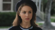 PLL116-1137