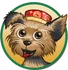 Master Moto-icon