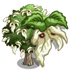 Dove Tree-icon