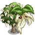 Giant Dove Tree-icon