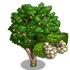 White Mulberry Tree-icon
