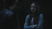 PLL117-1038