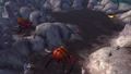FeedingPits.jpg