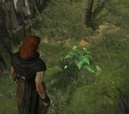 Greengarish