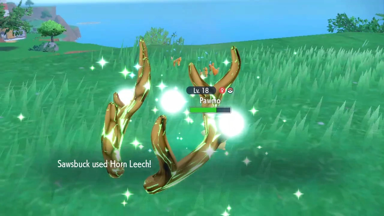 Horn Leech