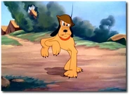 36906