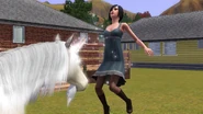 UnicornBless