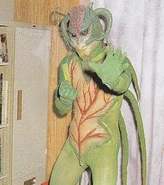 Kr-vi-sarracenian