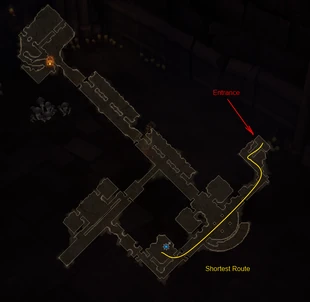 Shroom Layout