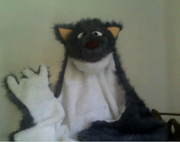 Clem-T-Wolf