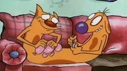 CatDog together