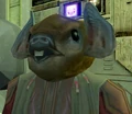Champ1.JPG