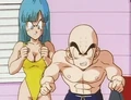 Maron and Krillin