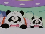 PandaFriends