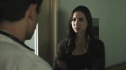 PLL204-0337