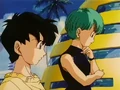 VidelAndBulma-WOTD