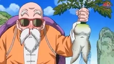 Roshi Rábanos