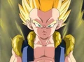 Gotenkz