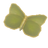 Motyl kleopatry.png