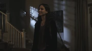 PLL206-0162