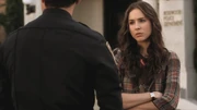 PLL207-00451