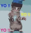 Kitty (2)