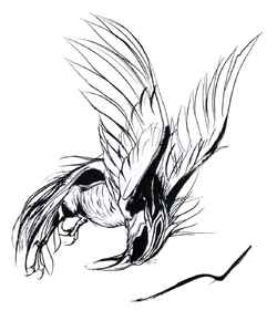 Cockatrice ff1