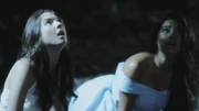 PLL212-01102