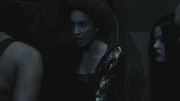 PLL213-01121