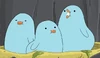 Baby Birds TCAWH