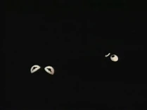 Eyes-KermitGrover