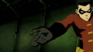 Robin's explosive pellets
