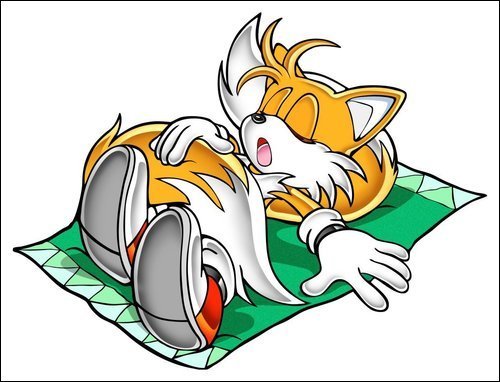 Tails-is-sleeping-shhh-miles-tails-prower-8582608-500-382.jpg