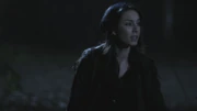PLL214-01200