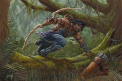 On the Hunt