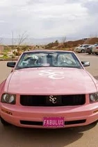 Shapays pink stang