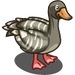 Pink-Footed Goose-icon