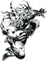 Amano Dualhead
