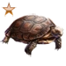 Item mojavedeserttortoise bronze 01