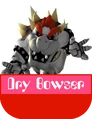 Dry Bowser MR.png
