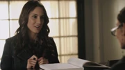 PLL216-00529