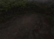 Forest1-ffix-battlebg