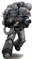 PurgationSquadGreyKnight